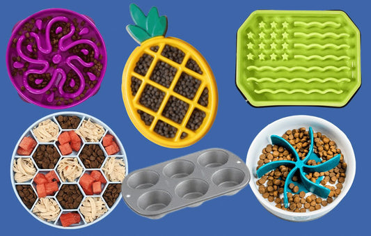 Slow Feeder Dog Bowl: What It Is and Why It Can Help Your Dog