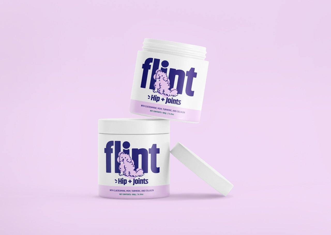 Hip and Joint